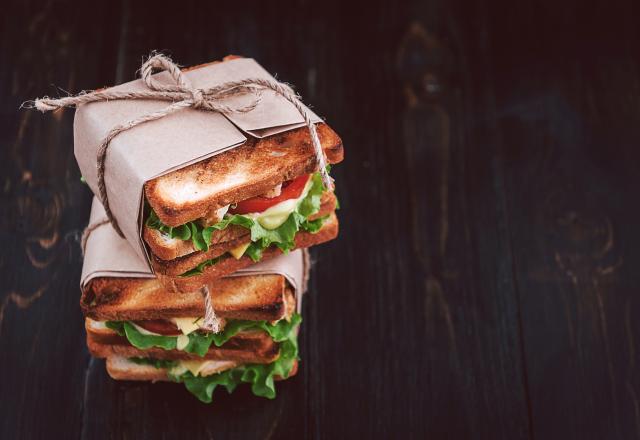 Top 3 des meilleurs appareils à croque-monsieur à moins de 50€ !