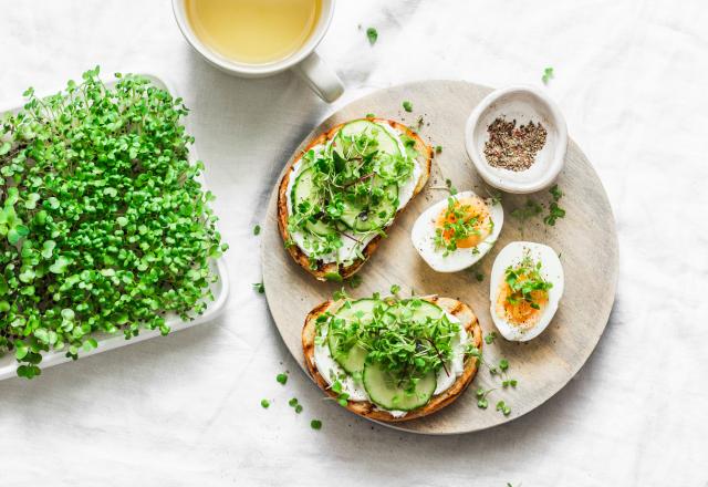 Tartines au fromage frais et concombre, oeufs durs et graines germées