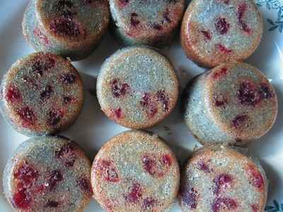 Petits gâteaux aux cranberries