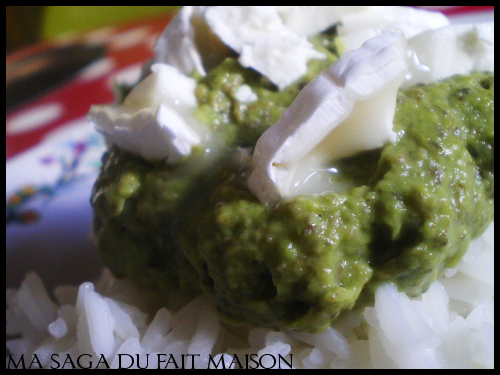 Mousse à l'avocat au riz