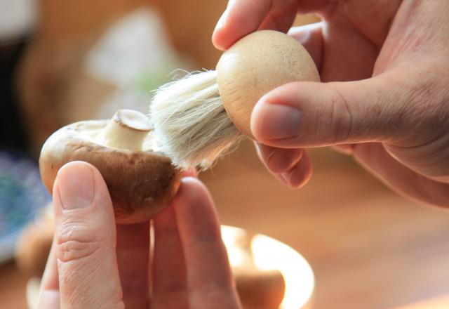 3 cours pour apprendre à cuisiner les champignons