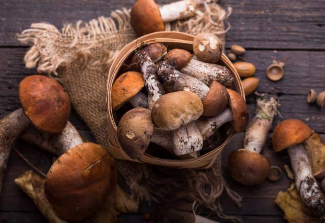 3 idées chipées aux chefs pour cuisiner les cèpes