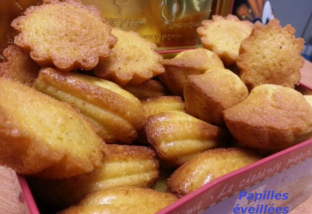 Madeleines vanillées et légères