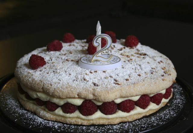 Gâteau d'anniversaire aux framboises