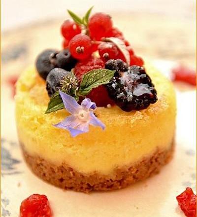 Cottage Cheese Cake aux fruits rouges