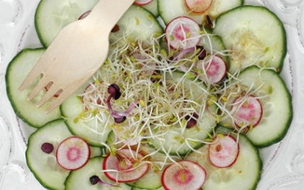 Salade de concombre, radis, vinaigrette à la japonaise et graines germées