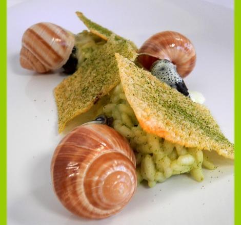 Escargots, risotto thé vert et tuiles parmesan