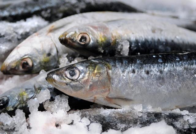 Rappel produit : ne consommez pas ces sardines, la date de péremption n’est pas la bonne !