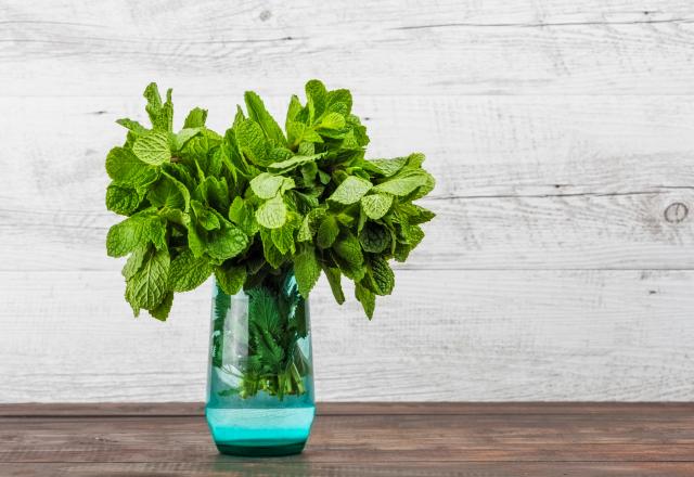 Comment bien conserver son bouquet de menthe ?