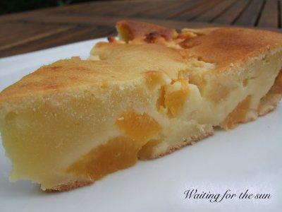 Gâteau très moelleux aux nectarines