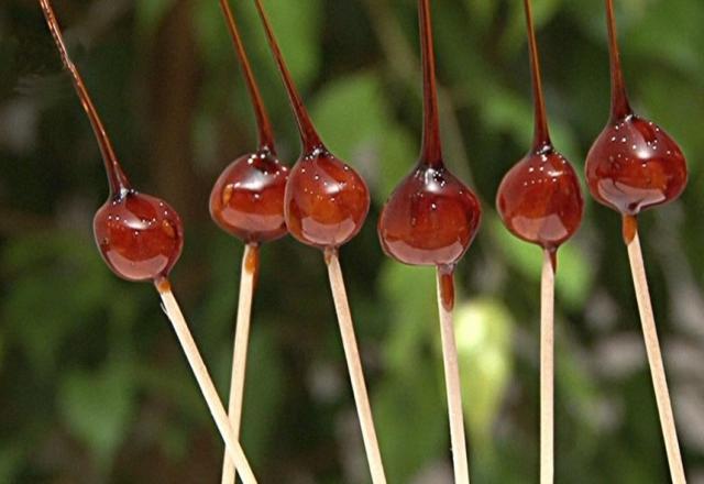 Noisettes caramélisées