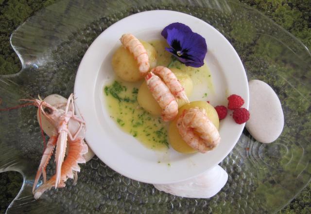 Langoustines au curry sur pomme princesse amandine fondantes