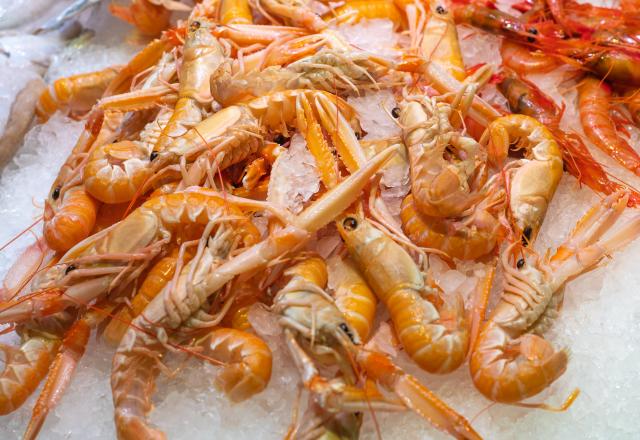 Comment réussir la cuisson des langoustines ? 3 conseils simples et pratiques