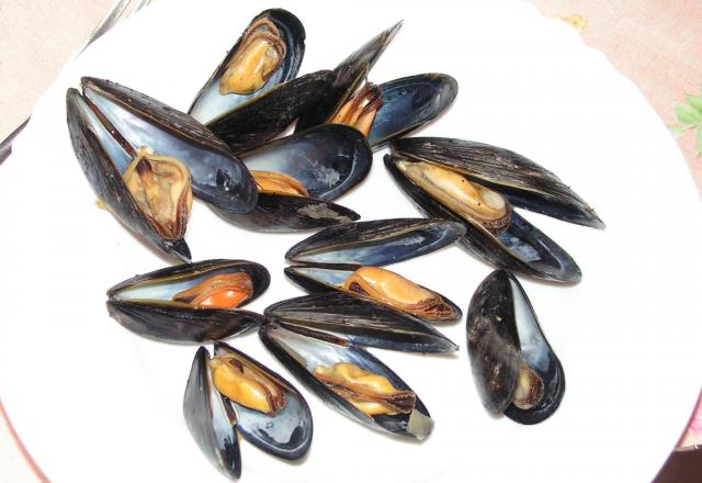 Moule marinière