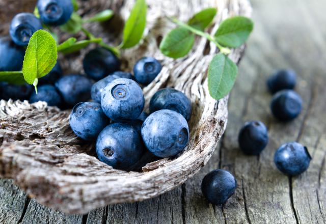 Connaissez-vous la différence entre les myrtilles et les bleuets ? Car non, ce n’est pas la même chose !