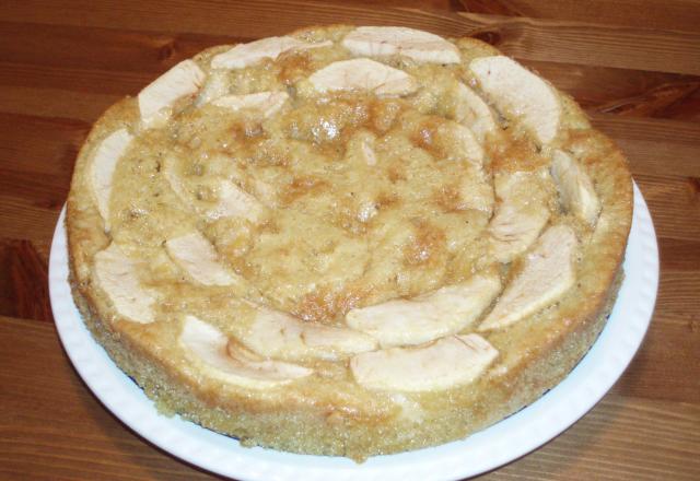 Gâteau 'Délicieux aux pommes'