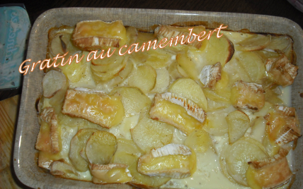 Gratin de camembert