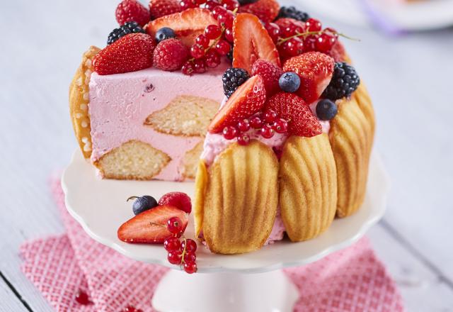 Charlotte de Madeleines & mousse de fruits rouges