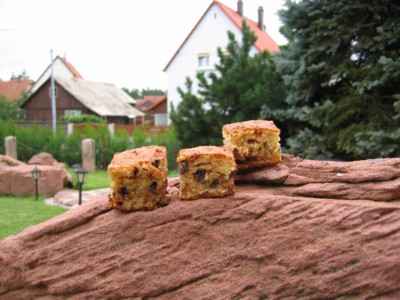 Moelleux Léger Coco Cannelle aux pépites de Chocolat