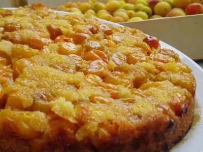 Gâteau renversé aux mirabelles