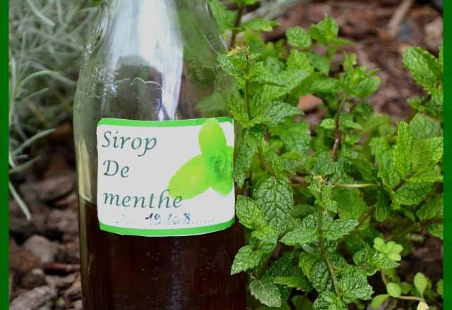 Sirop de menthe