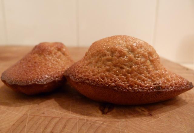 Madeleine aux fruits rouges