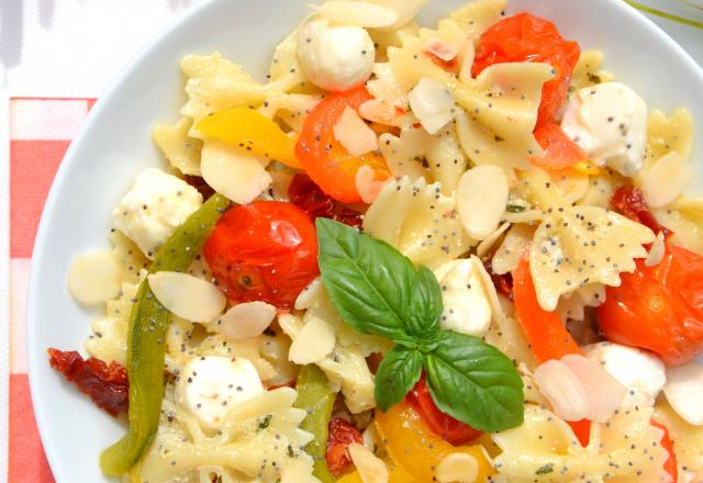 Salade de farfalles au pesto (tomates cerise et poivrons rôtis, tomates séchées et mozzarella)