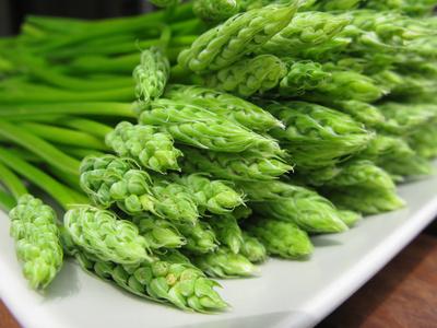 Asperge : trois choses à savoir sur le légume star du printemps 