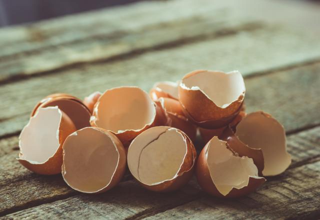 Voici pourquoi vous allez vouloir manger vos coquilles d’œufs !