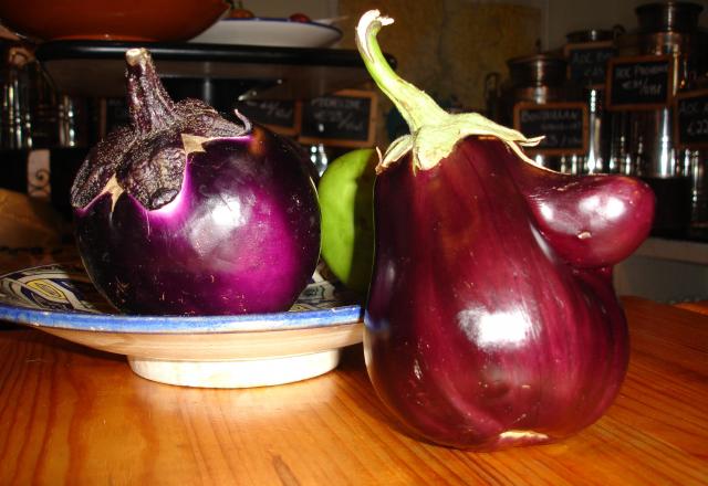 Aubergine Oliviera