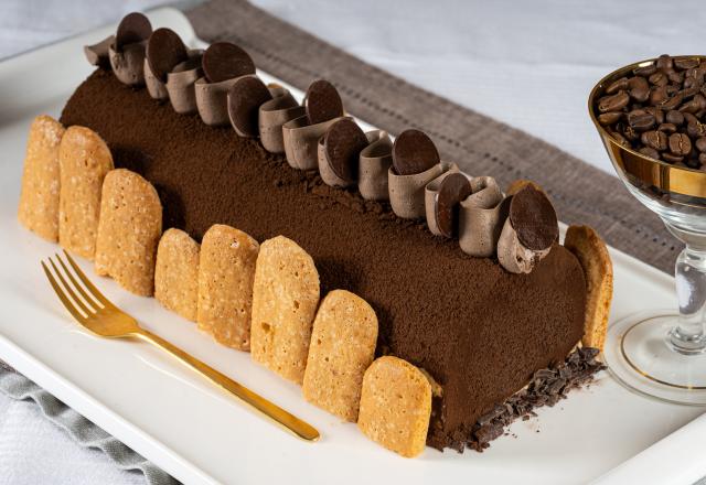 Comment faire très facilement une bûche tiramisu pour votre dessert de Noël ?