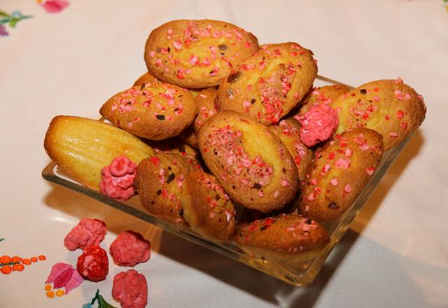 Madeleines croquantes et colorées