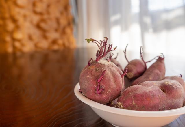 Peut-on manger une patate douce qui a germé ?