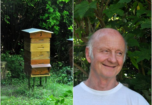 René Vicogne, apiculteur à Verrières-le-Buisson en région parisienne