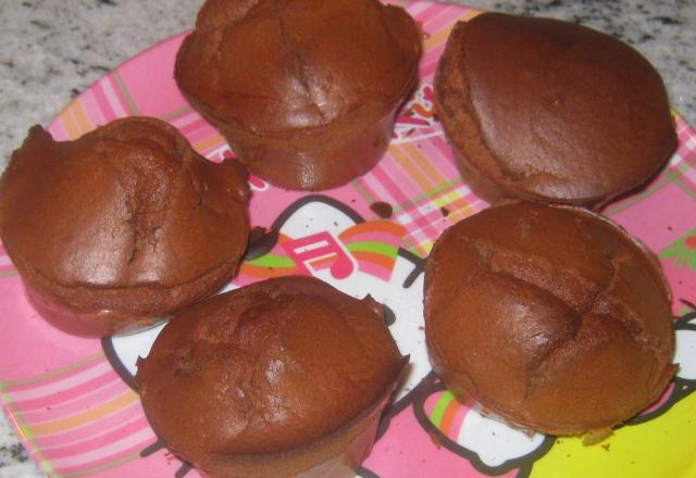 Petits gâteaux légers au chocolat