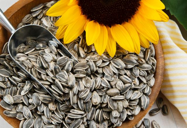 Graines de tournesol, pourquoi c'est bien d'en manger