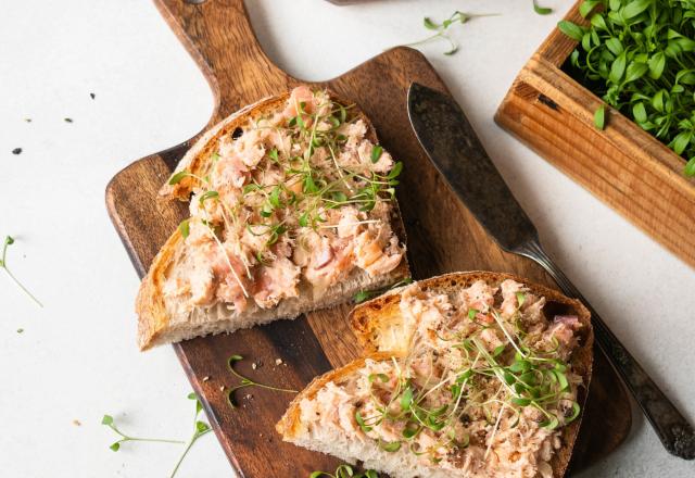 Rillettes de truite fumée aux graines germées