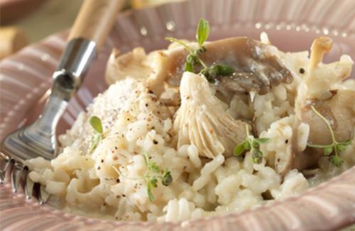 Risotto aux champignons sauvages