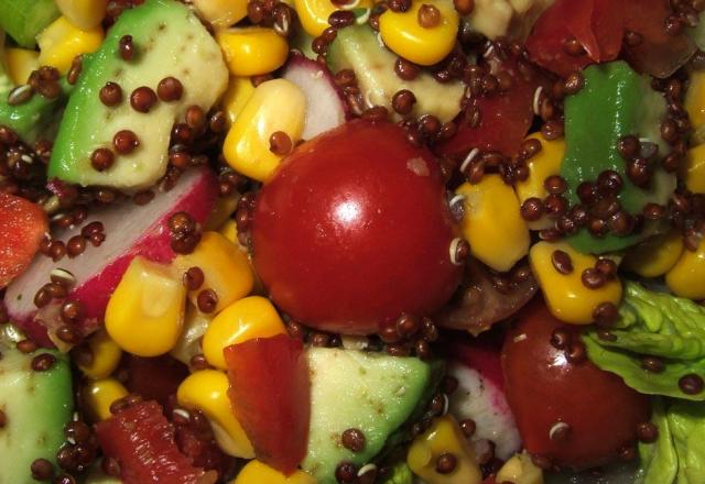 Salade au quinoa rouge