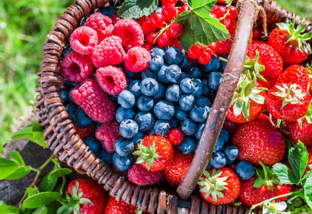 Manger ce fruit rouge quotidiennement pourrait avoir un réel effet bénéfique sur notre système digestif d’après des experts santé