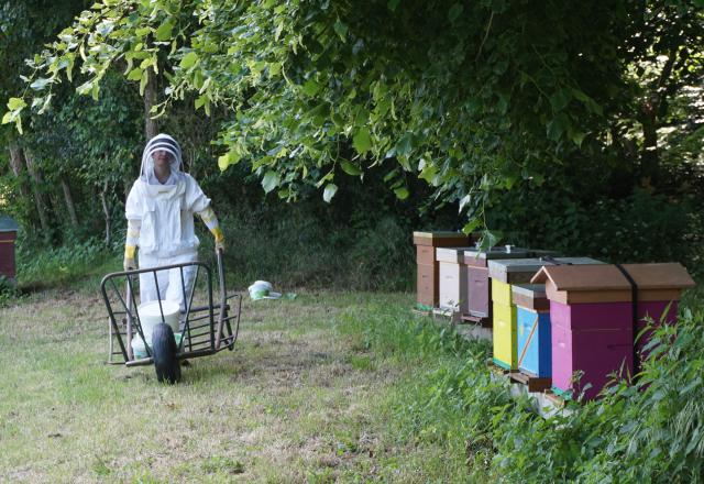 Les “Coups de pousse” de 750g pour ‘Du miel bio en Touraine" de Louise de Verneuil