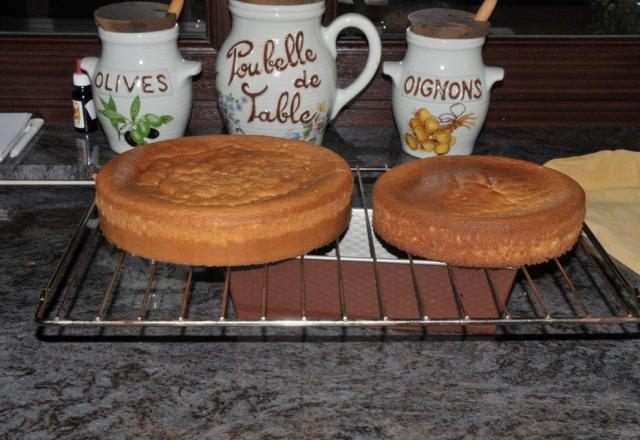 Biscuit pour réaliser un gâteau ou pièce montée