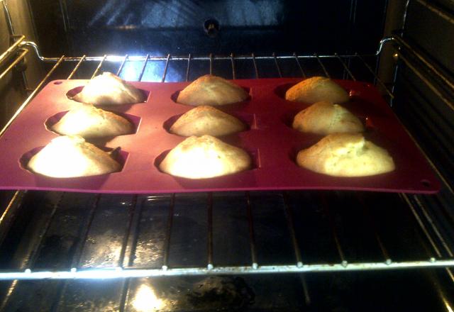 Madeleines au miel maison