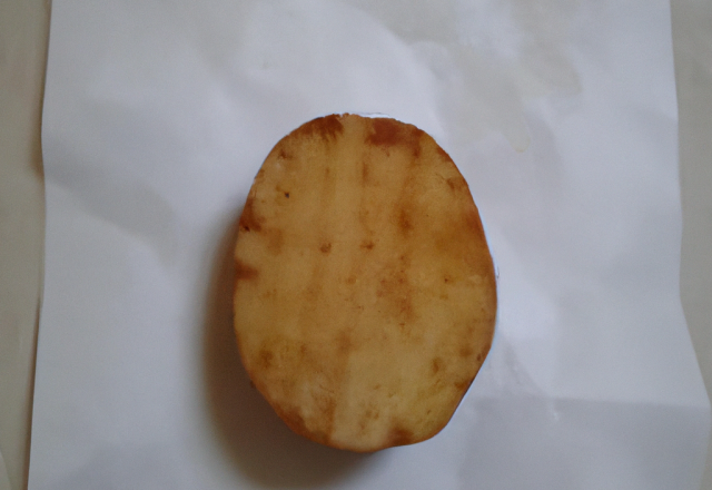 Pomme de terre posée