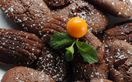 Madeleine au chocolat fondant