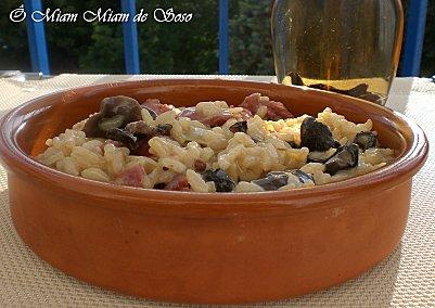 Risotto aux gésiers de canard et champignons