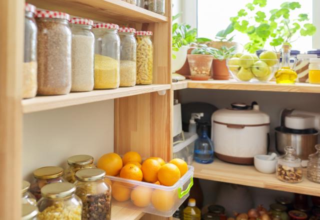 On a ENFIN trouvé la méthode fiable pour se débarrasser des mites alimentaires de façon naturelle