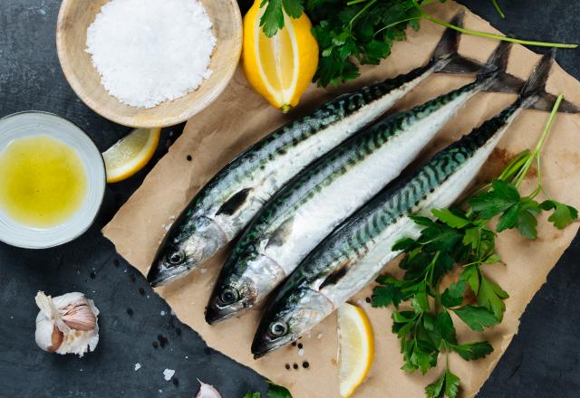 Poissons, coquillages et crustacés, nos meilleures astuces et recettes pour les sublimer