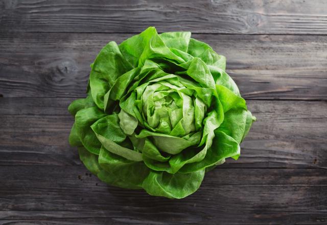 Voici la petite astuce de grand-mère à connaître pour rafraîchir une salade un peu flétrie