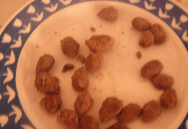 Amandes grillées au chocolat au lait